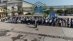 برد