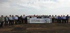 درختکاری