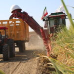 برداشت 1404 نهایی (11)