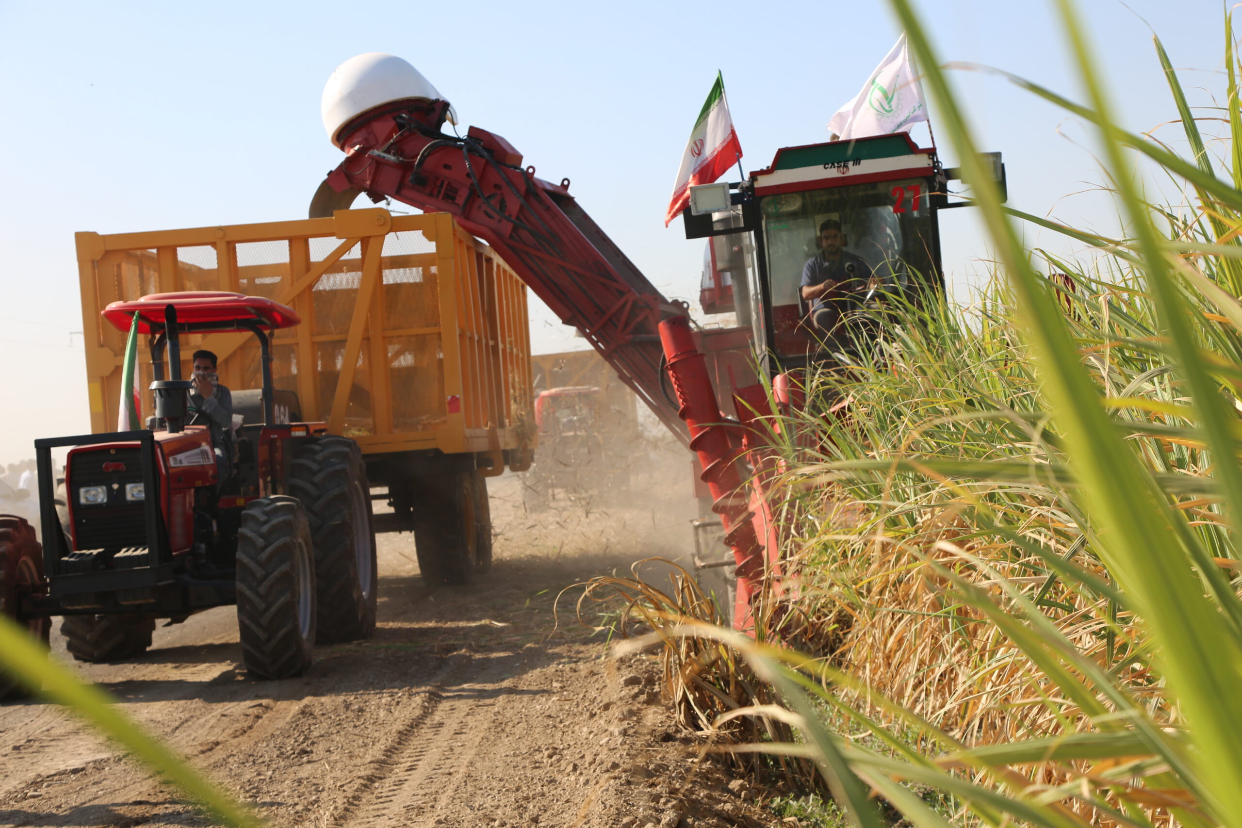 برداشت 1404 نهایی (11)